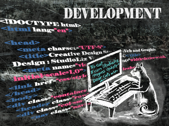 infographic-web design4 development